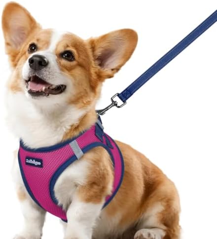 rabbitgoo Dog Harness Small Sized and Leash Set, Step in Soft Vest by rabbitgoo
