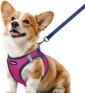 rabbitgoo Dog Harness Small Sized and Leash Set, Step in Soft Vest by rabbitgoo