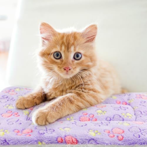2 Pack Cat Blanket for Indoor Cat, Warm Calming Kitten Beds - Image 6