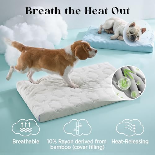 LE SURE ApexCloud™ Cooling Dog Bed - Image 5