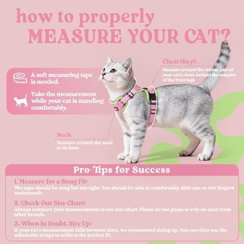 rabbitgoo Cat Harness and Leash Set, Escape Proof Vest - Image 2