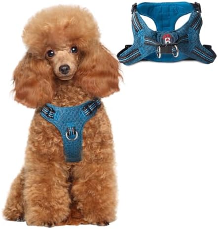 BARKBAY Small Dog Harness, No Pull Puppy Harness, Step-in Dog Vest by BARKBAY