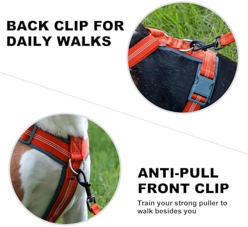 Plutus Pet No Pull Dog Harness, Adjustable Nylon Harness - Image 4