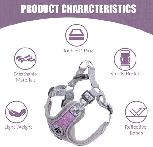 Patas Lague Dog Harness with Leash Set - Image 5