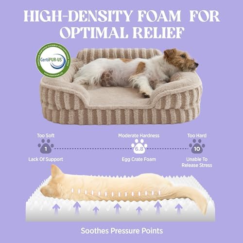 LE SURE Cute Cozy High Back Orthopedic Small Dog Bed - Image 4