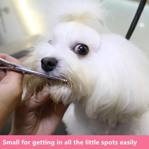 HASHIMOTO Small Dog Grooming Scissors - Image 5
