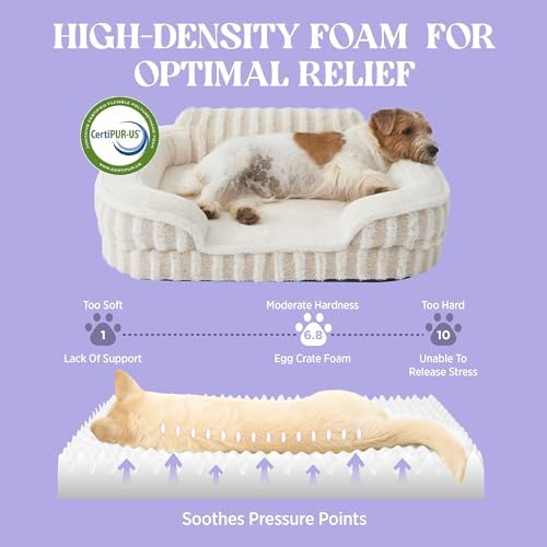 LE SURE Cute Cozy High Back Orthopedic Small Dog Bed - Image 4