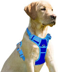 BARKBAY Dog Harness No Pull for Medium Sized Dog Front Back Clips, Dog Vest by BARKBAY