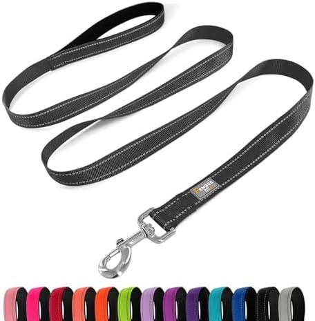 6 FT Basic Dog Leash for Small Dogs by Penseepet