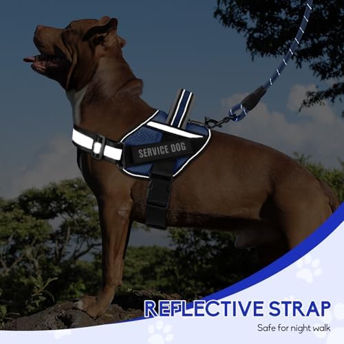 Service Dog Vest Harness and Leash Set, Animire in Training Dog Harness - Image 5