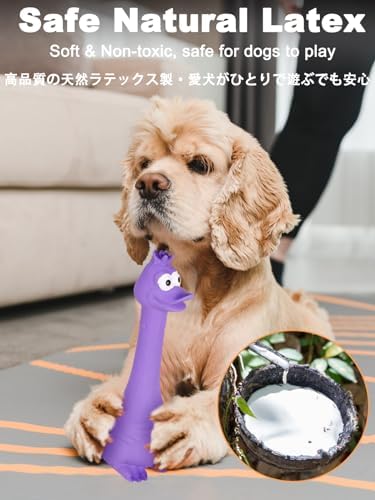 SCHITEC Squeaky Dog Toys, Squawking Latex Toy - Image 3