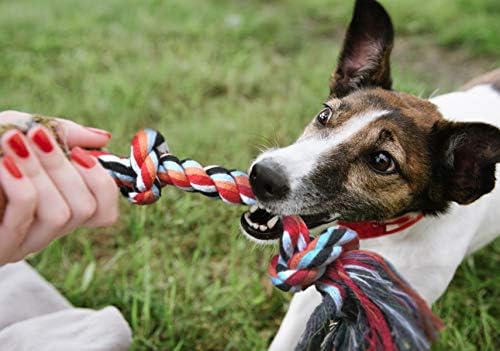 Fida Dog Rope Toys, 4 Pack Cotton Puppy Teething and Chew Toys - Image 7