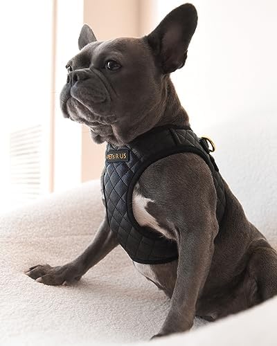 Step in Dog Harness, Lightweight Breathable Mesh Soft Padded Pet Vest, Vegan - Image 6