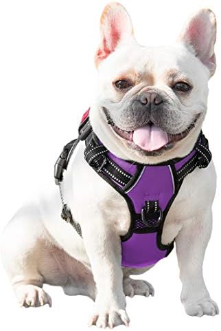 PHOEPET No Pull Dog Harnesses for Small Dogs Reflective Adjustable - Image 7