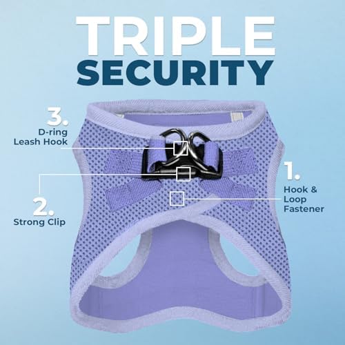 Best Pet Supplies - Image 5