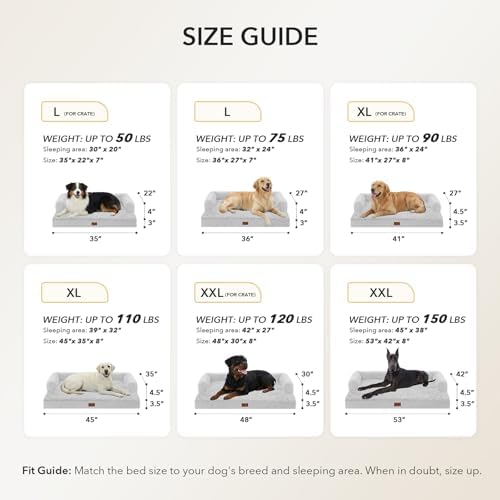 Orthopedic Washable Dog Bed for Medium Dogs - Image 5