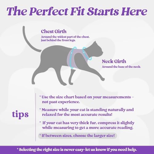 rabbitgoo Cat Harness and Leash Set, Step-in Soft Vest - Image 2