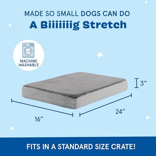 BarkBox Orthopedic Dog Bed - Image 2