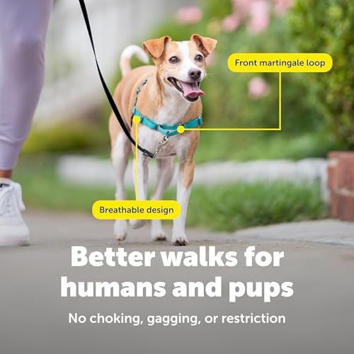PetSafe Easy Walk Harness, No Pull Dog Harness - Image 4