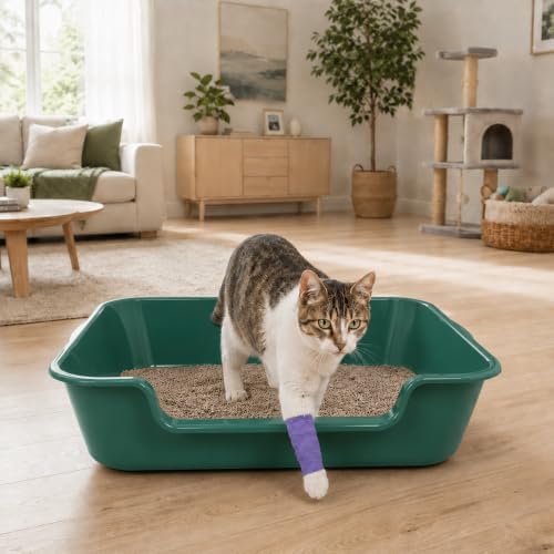Extra Large Low Entry ABS Cat Litter Box, 2 Pack - Image 3