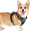 rabbitgoo Dog Harness Small Sized, Updated Easy On & Off by rabbitgoo