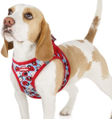 rabbitgoo Step-in Small Dog Harness, Puppy Vest by rabbitgoo
