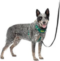 PetSafe Easy Walk Comfort No Pull Dog Harness by PetSafe