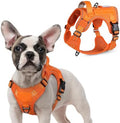 rabbitgoo Tactical Dog Harness for Small, No Pull Military Service Vest by rabbitgoo