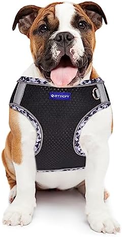 Step in Mesh Dog Harness and Leash Set Breathable Air Mesh Harness - Image 7