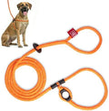 Harness Lead No Pull Dog Harness and Leash Set, Anti Pull Dog Harness, by HarnessLead