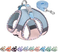 AIITLE Breathable Dog Harness Small Sized and Leash Set by AIITLE-FORPETSBETTERLIFE