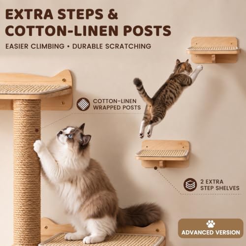 Cat Wall Shelves for Large Cats Wall Mounted Climbing Set - Image 6