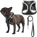 AMTOR Small Dog Harness with Leash Set, No Escape Easy Walk Puppy Harnesses by AMTOR