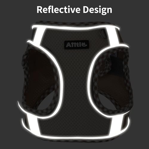 AIITLE Small Dog Harness and Leash Set - Image 5