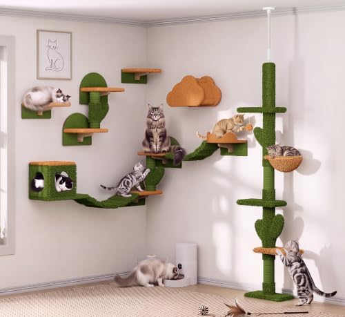 Cactus Floor-to-Ceiling Cat Tree, Adjustable Height by Homiflex