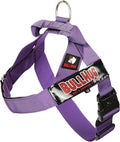 BULLHUG Adjustable Dog Harness– No Pull, No Choke – by BULLHUG