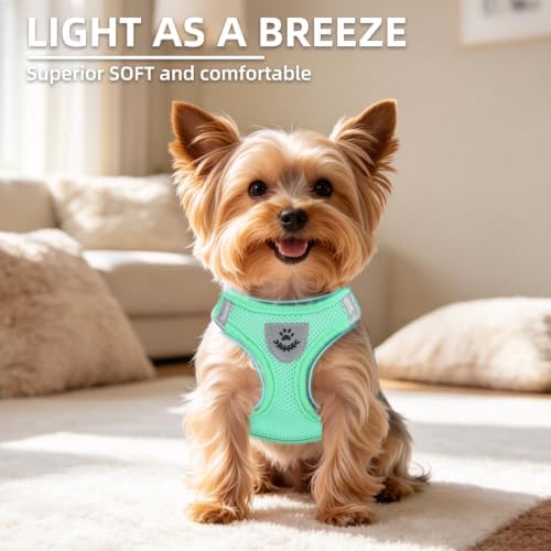 PUPTECK Dog Harness, Collar and Leash Set No Pull - Image 3