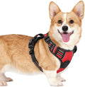 rabbitgoo Dog Harness Small Sized, Updated Easy On & Off by rabbitgoo