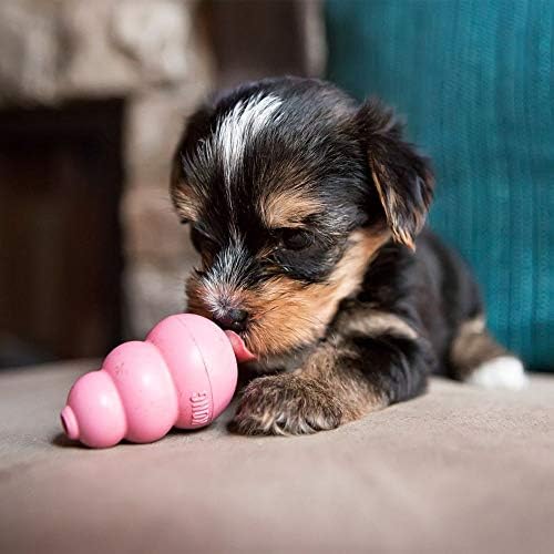 KONG Puppy, Natural Rubber Teething Chew Toy, - Image 3