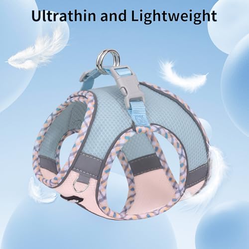 AIITLE Breathable Dog Harness Small Sized and Leash Set - Image 6