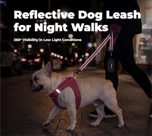 Best Pet Supplies Voyager Nylon Dog Leash - Image 4