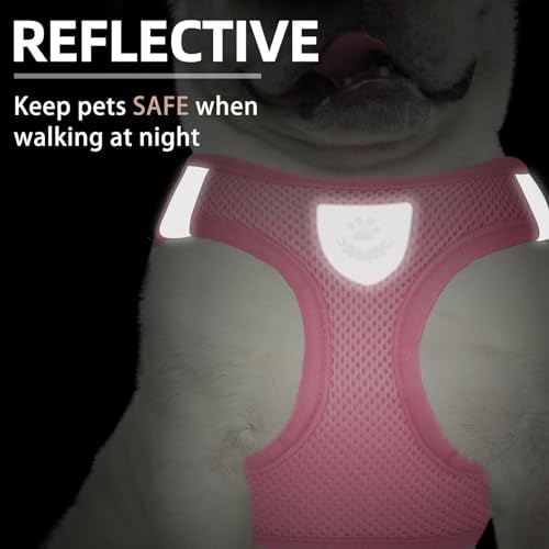 PUPTECK Dog Harness, Collar and Leash Set No Pull - Image 5