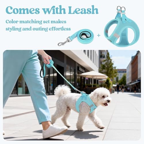 rabbitgoo Dog Harness Small Sized and Leash Set, Step-in Puppy Pet Vest - Image 5