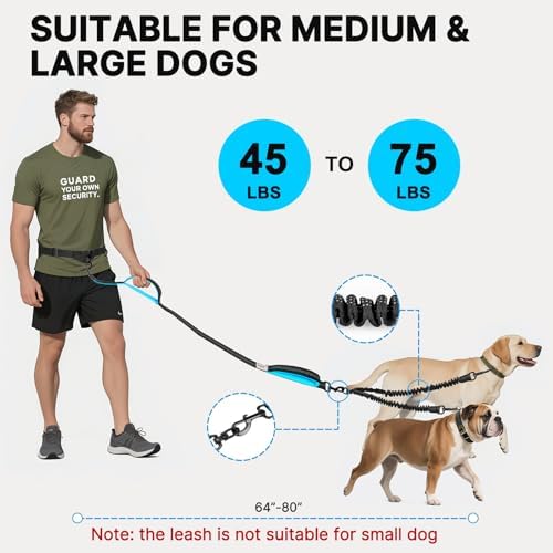 Hands Free Double Dog Leash Tangle Free, Lumbar Support Dual Leash - Image 5