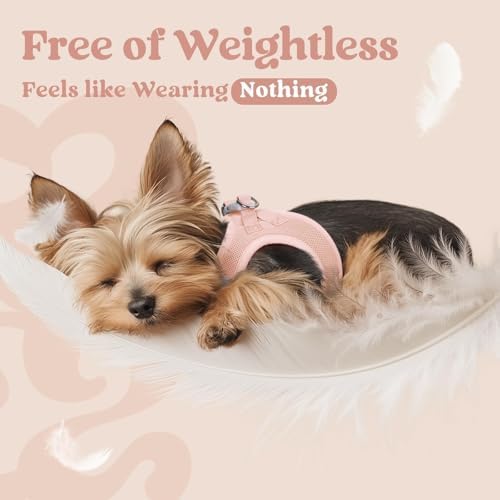 rabbitgoo Step-in Small Dog Harness, Puppy Vest - Image 4