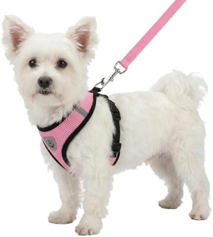 Hypeety Dog Vest Harness No-Pull Reflective Step-in Air Mesh Vest by Hypeety