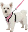 Hypeety Dog Vest Harness No-Pull Reflective Step-in Air Mesh Vest by Hypeety