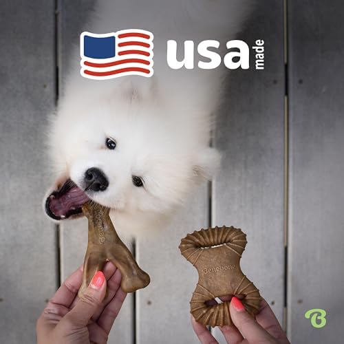 Benebone 2-Pack Wishbone/Dental Durable Dog Chew Toys, Real Bacon - Image 5