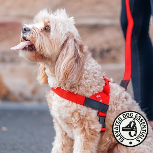 Dog Friendly Co. Dog Harness for Small Dogs - Image 5