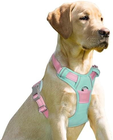 BARKBAY Dog Harness No Pull for Small Sized Dog Front Back Clips, Dog Vest by BARKBAY